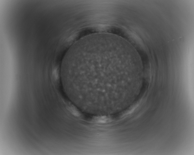 X0000115510131200911131348