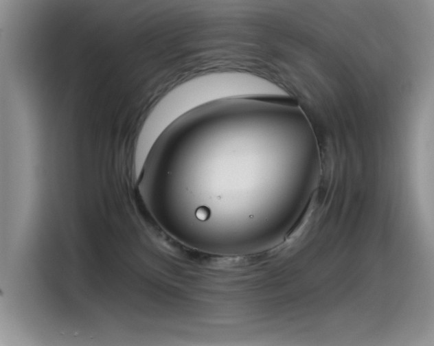 X0000115510136200911131348