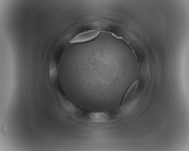 X0000115510137200911131348