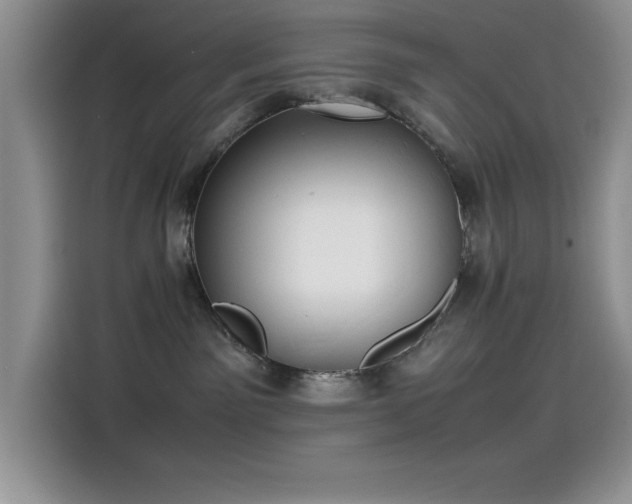 X0000115510141200911131348