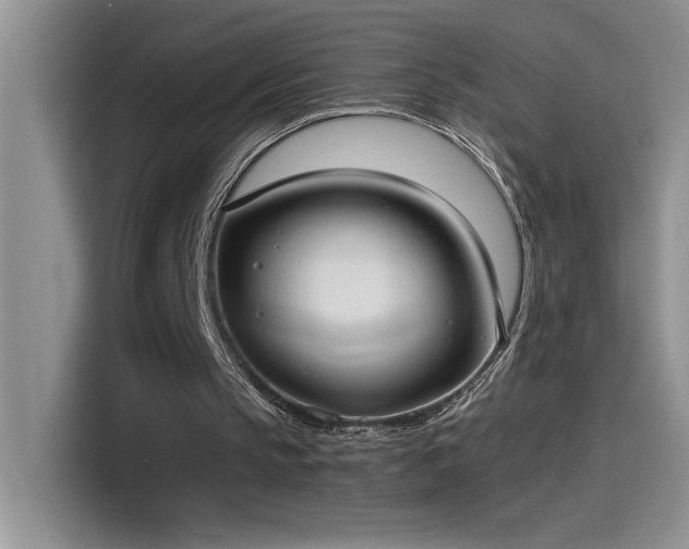 X0000115510145200911131348