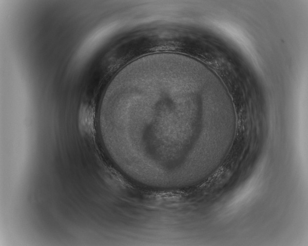 X0000115510146200911131348