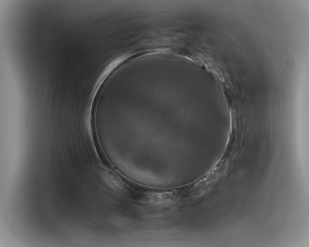 X0000115510147200911131348