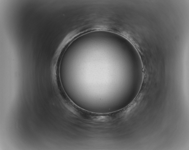 X0000115510151200911131348