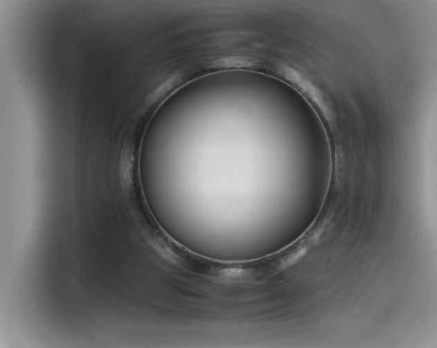 X0000115510153200911131348