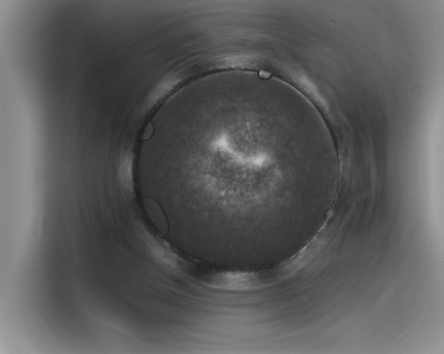 X0000115510154200911131348