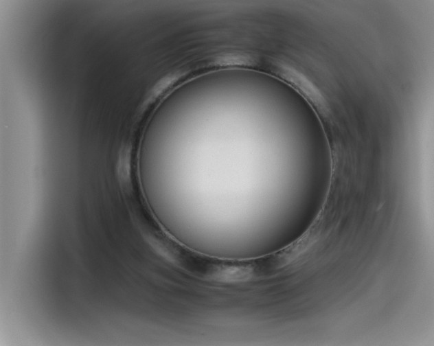 X0000115510155200911131348