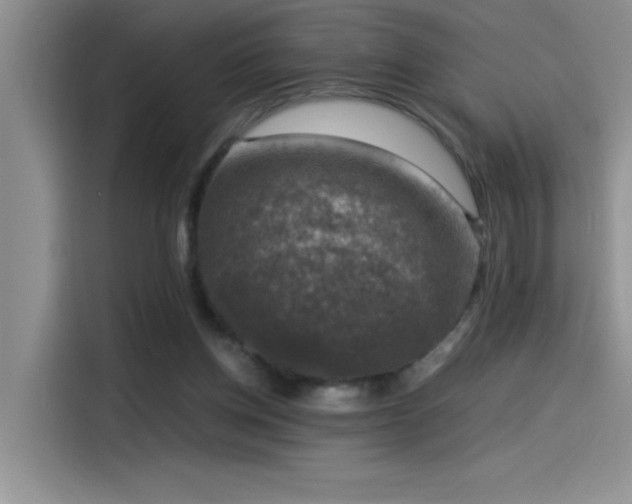 X0000115510158200911131348