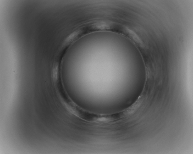 X0000115510163200911131348