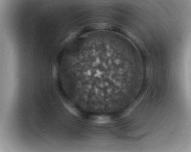 X0000115510165200911131348