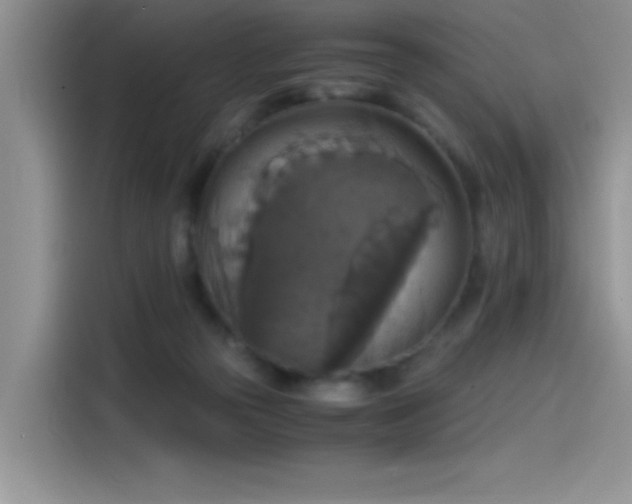 X0000115510169200911131348