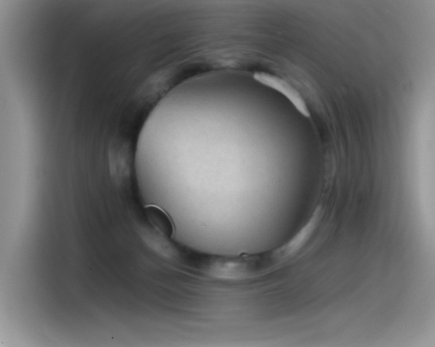 X0000115510174200911131348