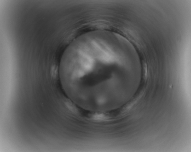 X0000115510177200911131348