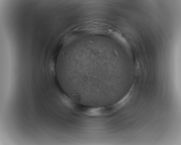 X0000115510178200911131348