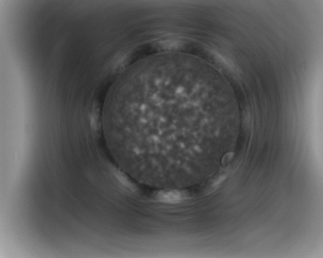 X0000115510181200911131348