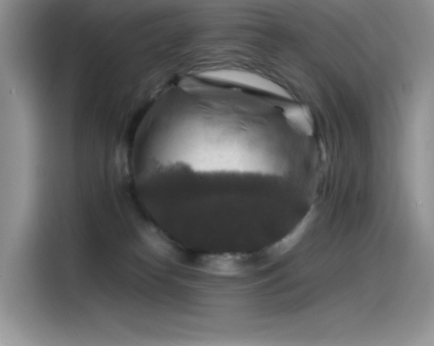 X0000115510182200911131348