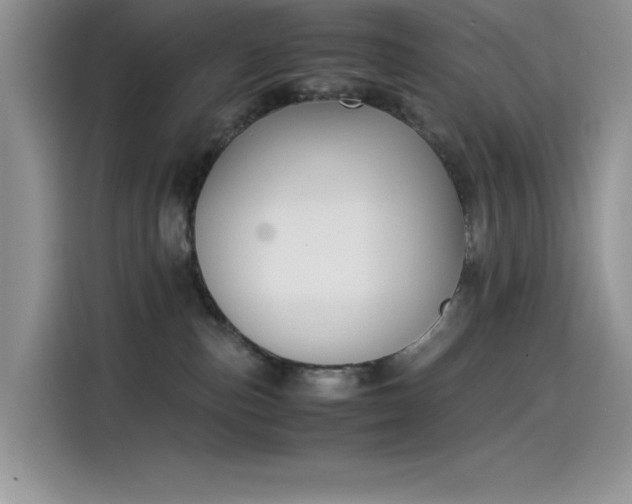 X0000115510187200911131348