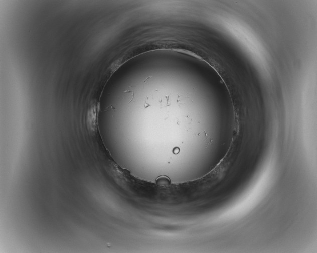 X0000115510190200911131348