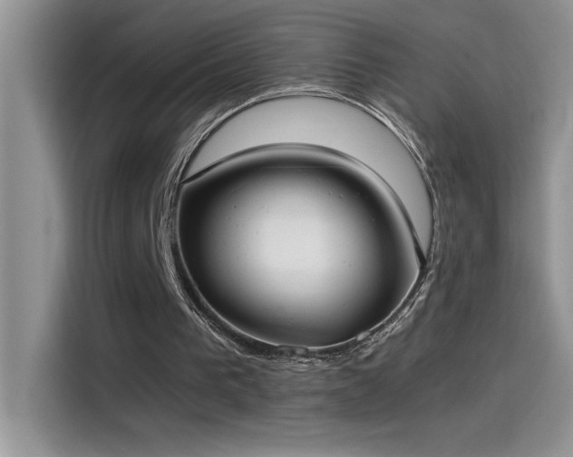 X0000115510193200911131348