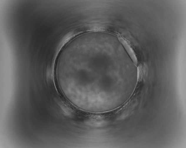 X0000115510195200911131348