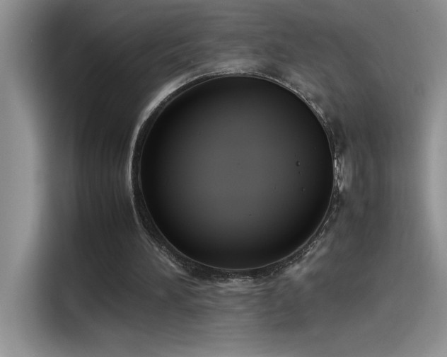 X0000115510196200911131348