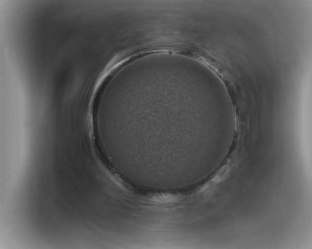 X0000115510198200911131348