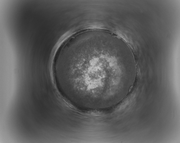 X0000115510199200911131348