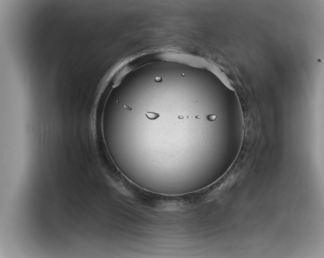 X0000115510200200911131347