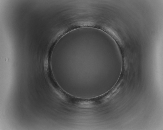 X0000115510202200911131347