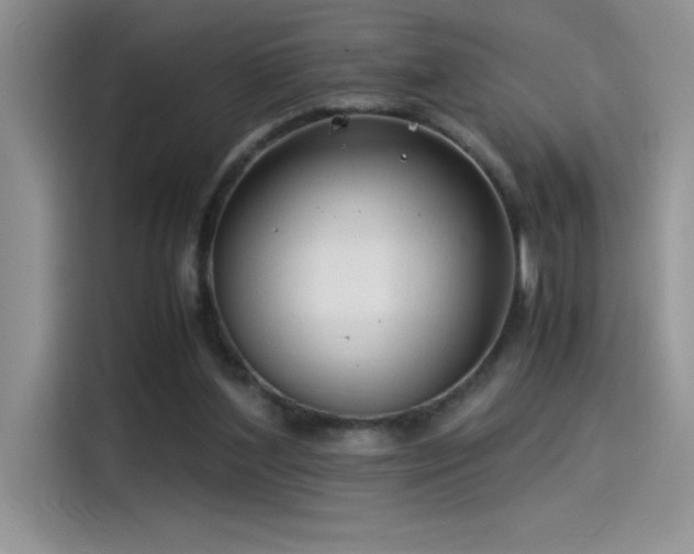 X0000115510204200911131347