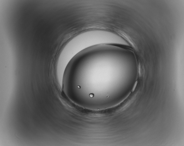 X0000115510205200911131347