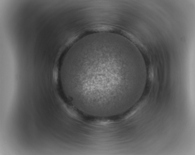 X0000115510206200911131347