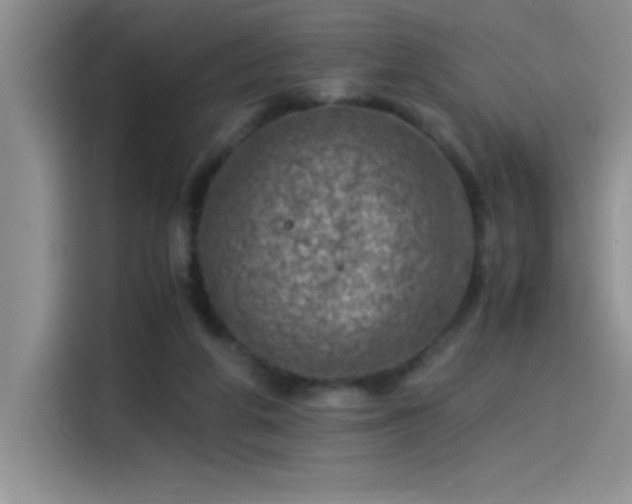 X0000115510210200911131347