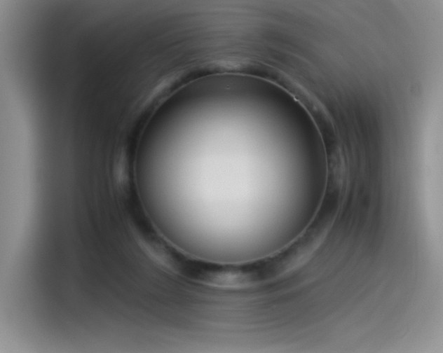 X0000115510212200911131347