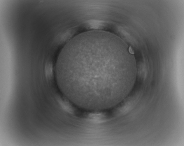 X0000115510213200911131347