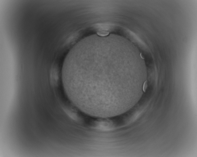 X0000115510215200911131347