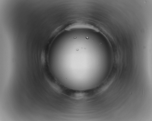 X0000115510216200911131347