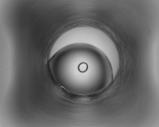 X0000115510217200911131347