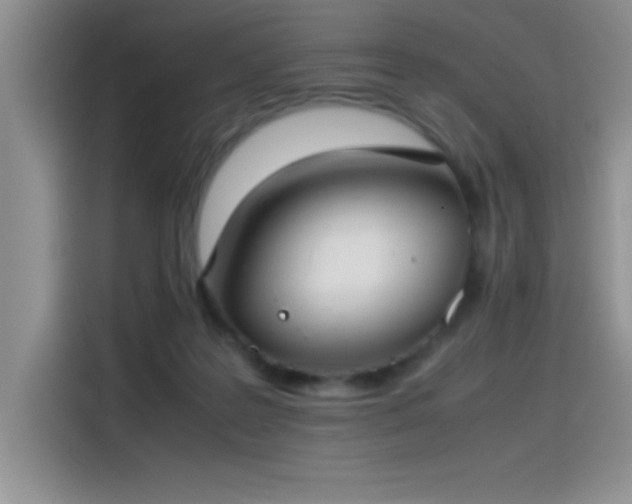 X0000115510219200911131347