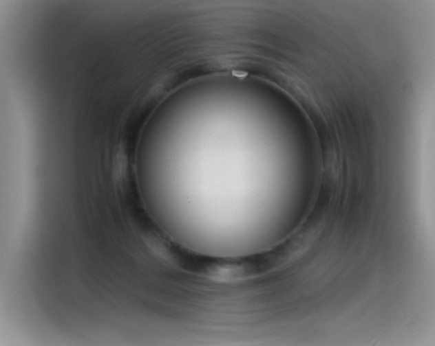 X0000115510220200911131347