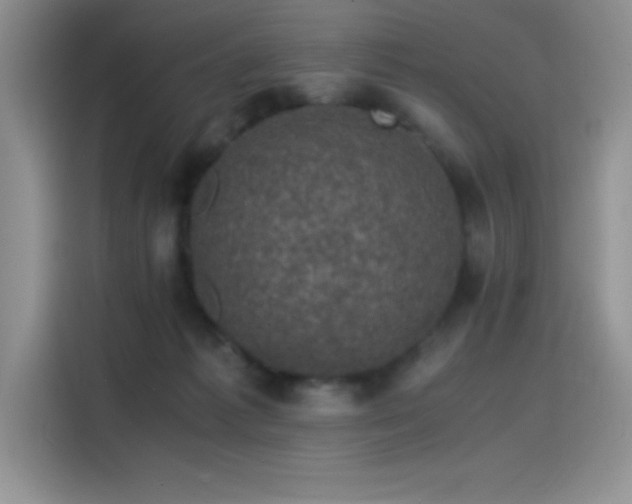 X0000115510221200911131347