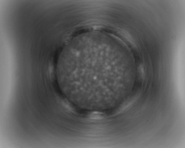 X0000115510222200911131347