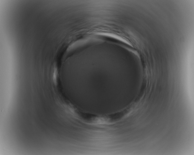 X0000115510223200911131347