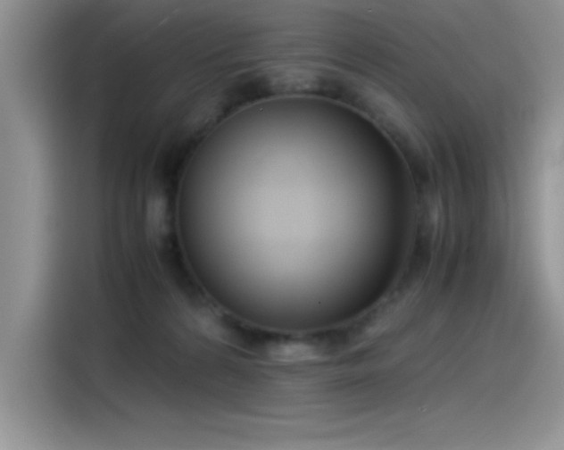 X0000115510224200911131347