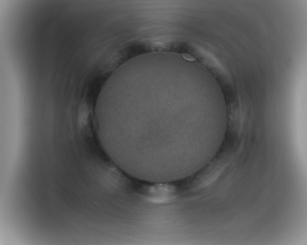 X0000115510225200911131347