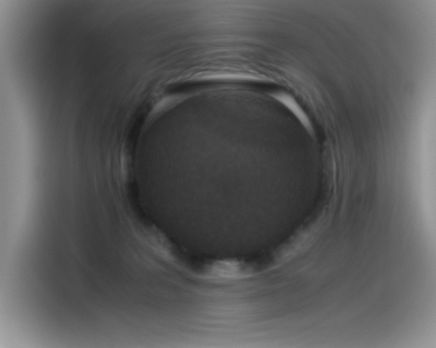 X0000115510227200911131347