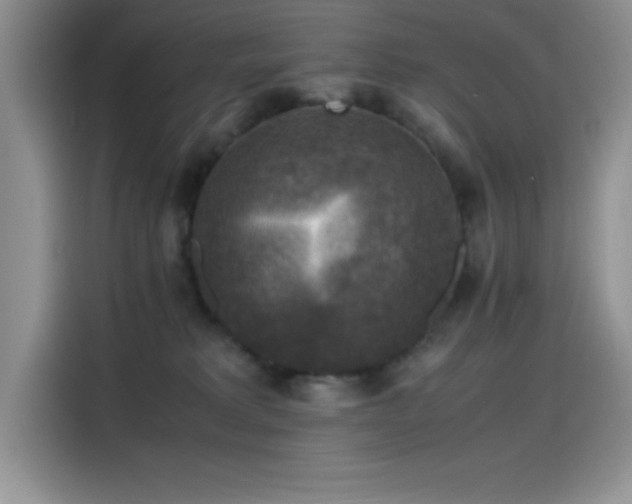 X0000115510229200911131347