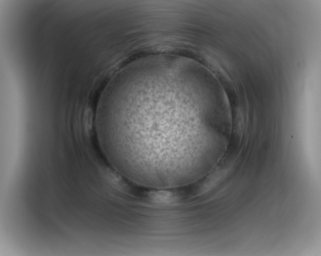 X0000115510230200911131347