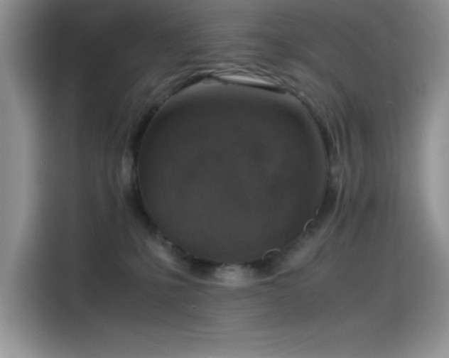 X0000115510231200911131347