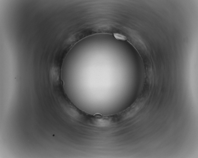 X0000115510232200911131347